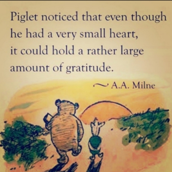 ⚜️  RALPH LAUREN UPHOLSTERY MERLOT FLEUR de Lise - Picture 6 of 16